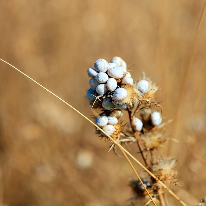 Un progetto Ecosostenibile
