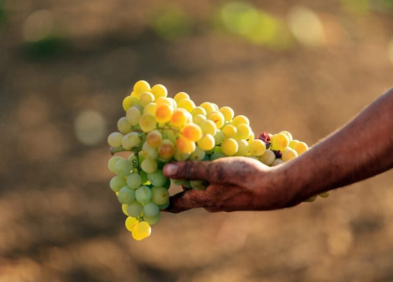 Return and refund policy