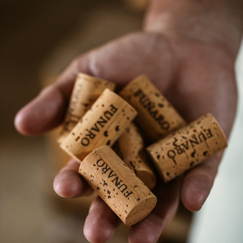 Cantina Funaro - Vini Biologici Siciliani a Santa Ninfa