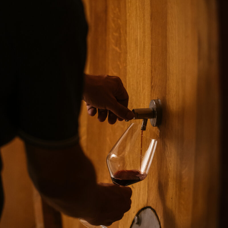 Degustazione e visita in cantina in Sicilia - vini CRU biologici