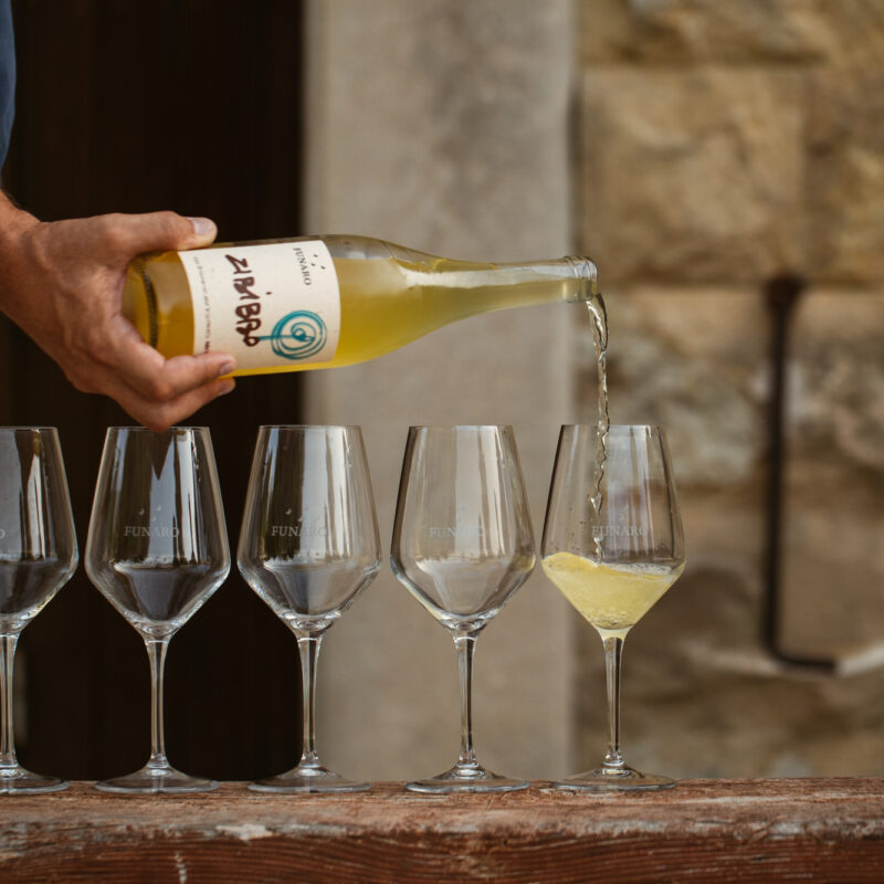 Vivi la nostra Cantina biologica in Sicilia